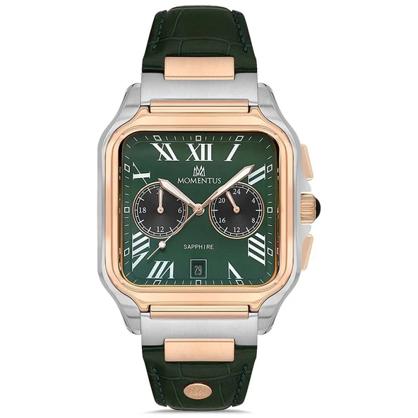 Momentus TM348T-15YR