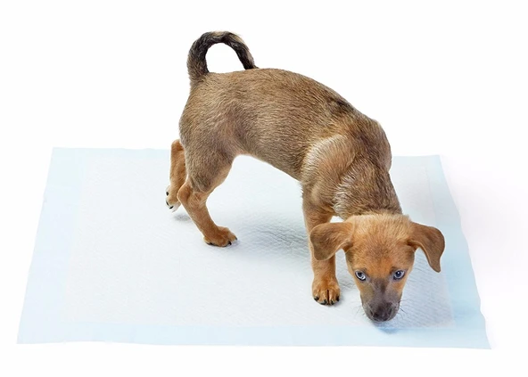 Yıkanabilir Köpek Çiş Pedi - 100 X 100 Cm 5li Paket (483483) - 4