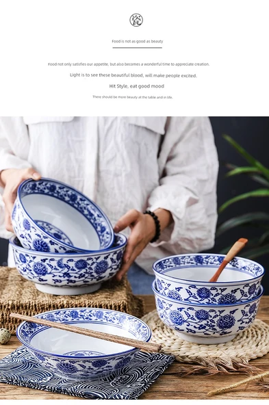 Porselen Noodle Kasesi - 9 inç Dış Desenli Kase - 9