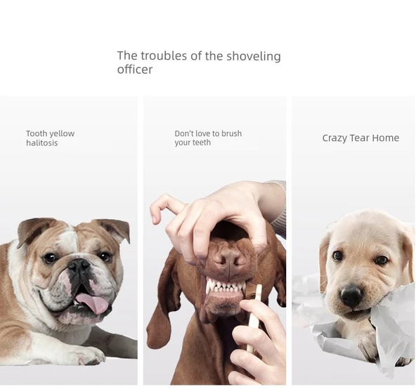 EVA Yumuşak Frizbi Köpek Oyuncağı - Resim 9