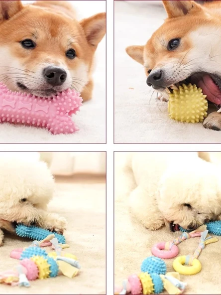 Köpek Çiğneme Oyuncağı - Azı Diş Kemiği + Halat Düğüm Top - 3