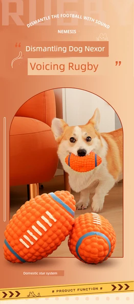 Köpek Çiğneme Oyuncağı Topu - Küçük Boyut Isırmaya Dayanıklı Patlayan Toplu - Resim 7