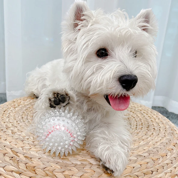 Sesli Diş Kaşıma Topu - Beyzbol Desenli Köpek Oyuncağı
