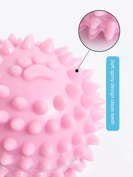Köpek Çiğneme Oyuncağı - Burgulu Donut + Pati Baskılı Dikenli Top - 6