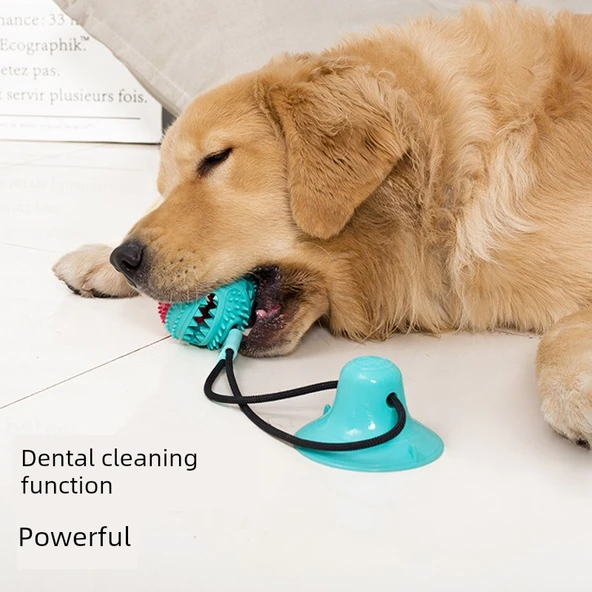 Köpek Çiğneme Oyuncağı - Vantuzlu Elastik İpli Top - Kırmızı Mavi Vantuzlu + Oval Göl Mavisi Vantuzlu - Resim 6