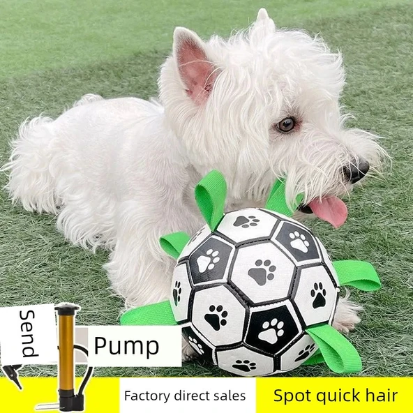 Mavi Karpuz Köpek Topu - 6cm - Küçük Irk Köpekler İçin - 3