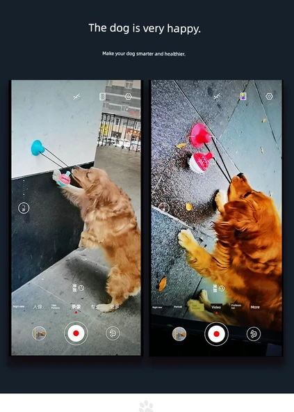 Köpek Çiğneme Oyuncağı - Vantuzlu Elastik İpli Top - Kırmızı Mavi Vantuzlu + Oval Göl Mavisi Vantuzlu - Resim 9