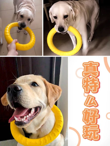 Küçük Boy EVA Zıplayan Top Köpek Oyuncağı - 6