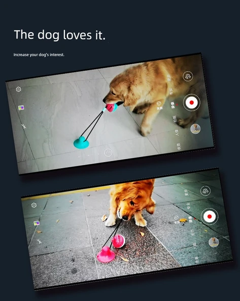 Köpek Çiğneme Oyuncağı - Vantuzlu Elastik İpli Top - Kırmızı Mavi Vantuzlu + Oval Göl Mavisi Vantuzlu - Resim 7