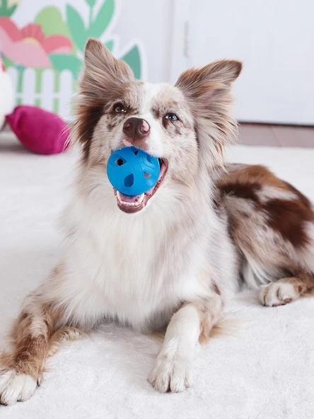 Köpek Ödül Saklama Topu - Hermes Turuncu - 6
