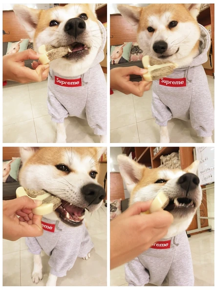 Küçük Boy Biftek Köpek Diş Kaşıma Oyuncağı