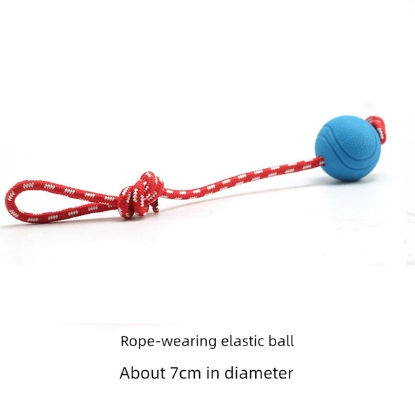 Köpek Oyuncak Topu - Mavi Fileli İpli 7cm