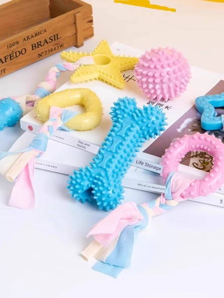 Köpek Diş Kaşıma Oyuncağı - Burgulu Donut + Pati Baskılı Dikenli Top - 4