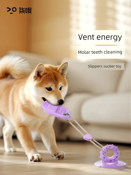 Köpek Oyuncak Vantuzlu Isırmaya Dayanıklı Diş Kaşıma Oyuncağı - Terlik Mor - 2