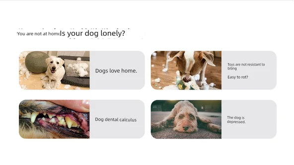 Köpek Diş Temizleme Oyuncağı - Kaktüs Şekilli - Resim 9