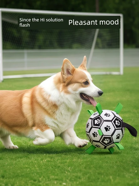 Köpek Oyuncak Topu - Tur Futbolu S +5 TL Düğümlü Terlik - 9