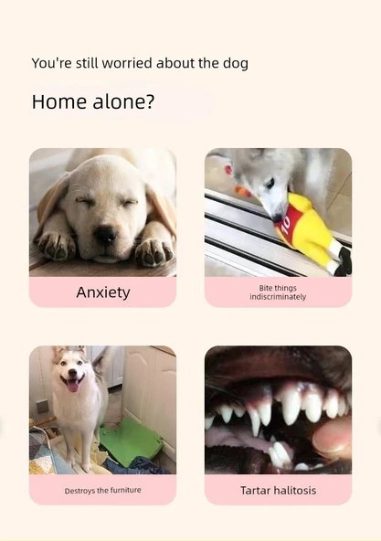 Köpek Eğitim Isırma Molar Top Oyuncak - Rugby (Renk Rastgele) - Resim 8