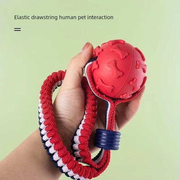 Köpek Eğitim Isırma Molar Top Oyuncak - Rugby (Renk Rastgele) - Resim 5