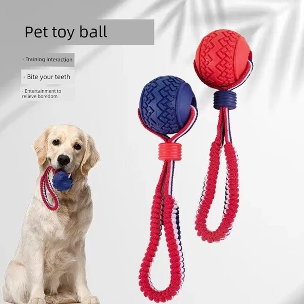 Köpek Eğitim Isırma Molar Top Oyuncak - Rugby (Renk Rastgele) - Resim 2