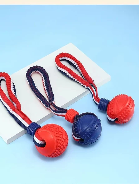Köpek Eğitim Isırma Molar Top Oyuncak - Rugby (Renk Rastgele) - Resim 7