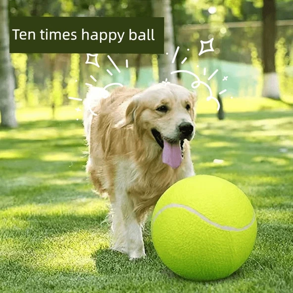 24cm Süper Boy Köpek Tenis Topu - Pompa ve İğne Dahil - 2