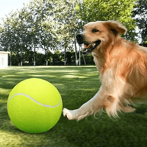 24cm Süper Boy Köpek Tenis Topu - Pompa ve İğne Dahil - 4
