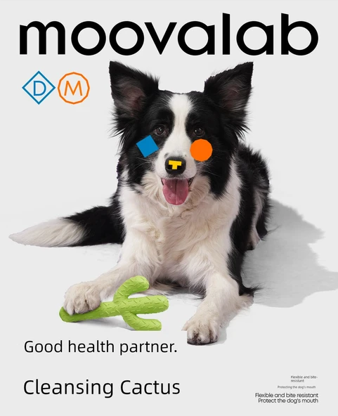 Köpek Diş Temizleme Oyuncağı - Kaktüs Şekilli - Resim 7