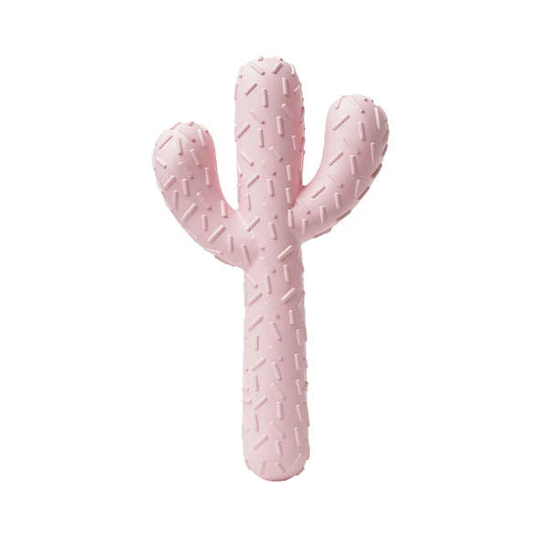 Köpek Diş Temizleme Oyuncağı - Kaktüs Şekilli - Resim 6