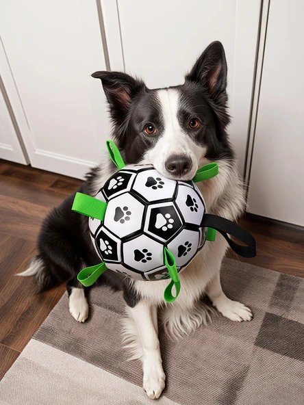 Köpek Oyuncak Topu - Tur Futbolu S +3 TL Düğümlü Havuç - 2
