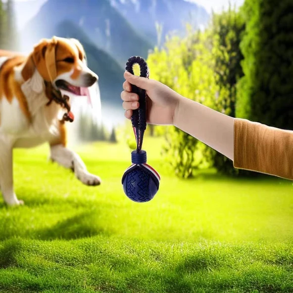 Köpek Eğitim Isırma Molar Top Oyuncak - Rugby (Renk Rastgele) - Resim 6