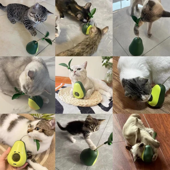 Avokado Şeklinde Kedi Naneli ve Mama Hazneli Kedi Oyuncağı - 3