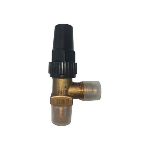 Blue BLR-6110/22 1/4''SAE-1/4''NPT Depo Vanası