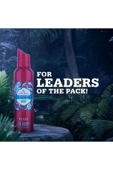 Old Spice Wolfthorn Erkek Deodorant Vücut Spreyi 140ML - 4