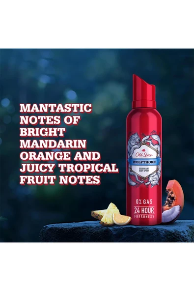 Old Spice Wolfthorn Erkek Deodorant Vücut Spreyi 140ML - 3