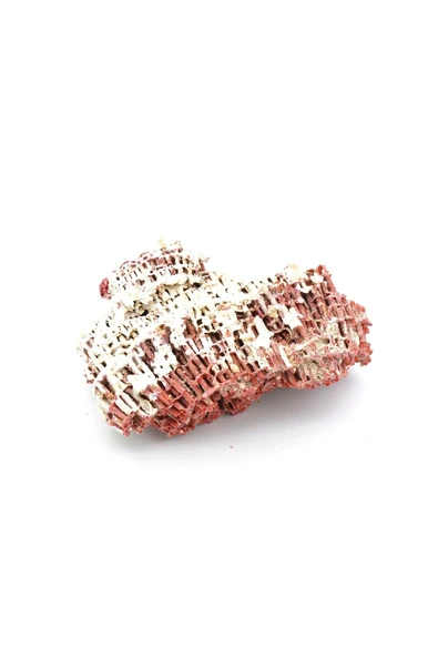 Hakiki Doğal Kırmızı Mercan Kaya Parçası 96 Gram - 4