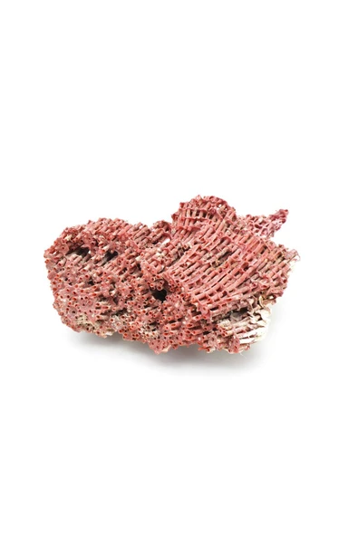 Hakiki Doğal Kırmızı Mercan Kaya Parçası 96 Gram - 2