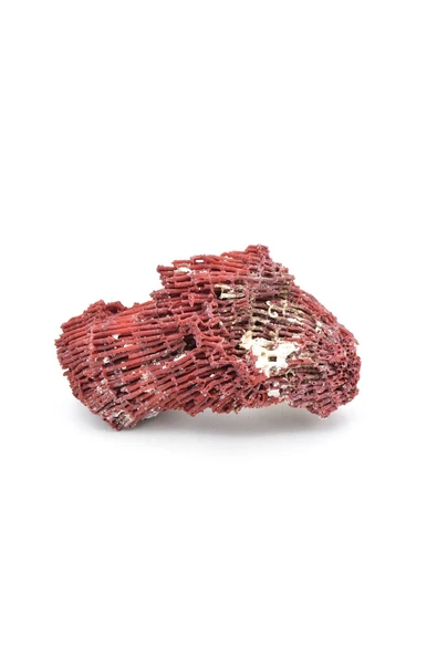 Hakiki Doğal Kırmızı Mercan Kaya Parçası 114 Gram