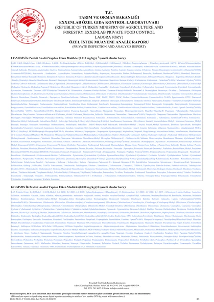 A la Gea Soğuk Sıkım Natürel Sızma Zeytinyağı - 6