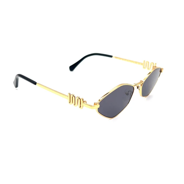 RACHEL PARİS RP8642 C1 Kadın Güneş Gözlüğü - Resim 5