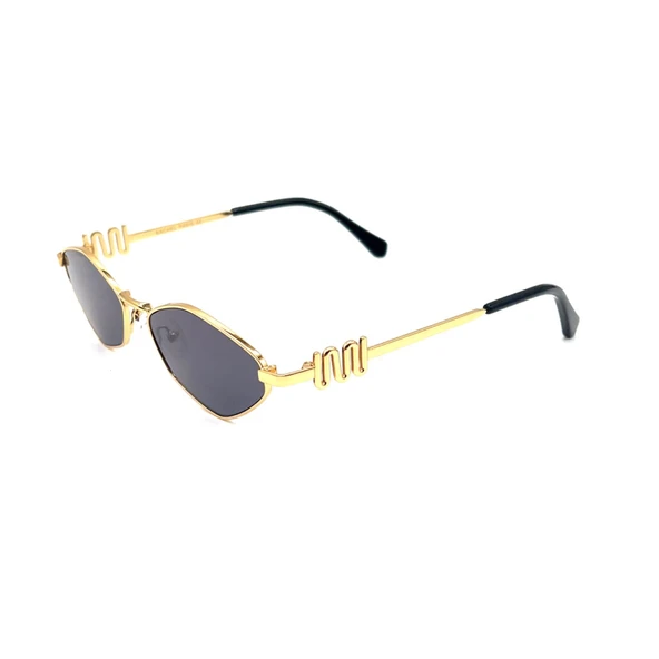 RACHEL PARİS RP8642 C1 Kadın Güneş Gözlüğü - Resim 2