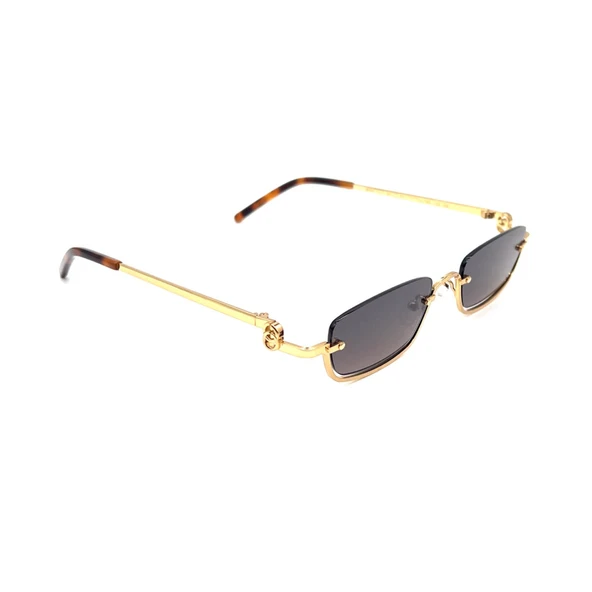 RACHEL PARİS RP8659 C2 Kadın Güneş Gözlüğü - Resim 5