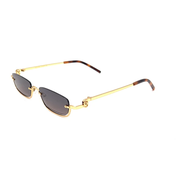 RACHEL PARİS RP8659 C2 Kadın Güneş Gözlüğü - Resim 2