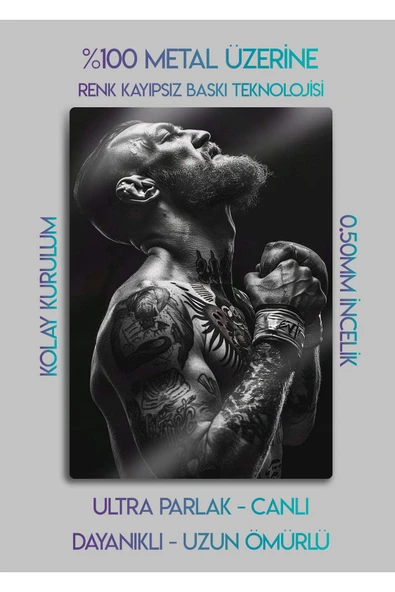 Conor McGregor UFC - Parlak Metal Baskı Tablo - Resim 2