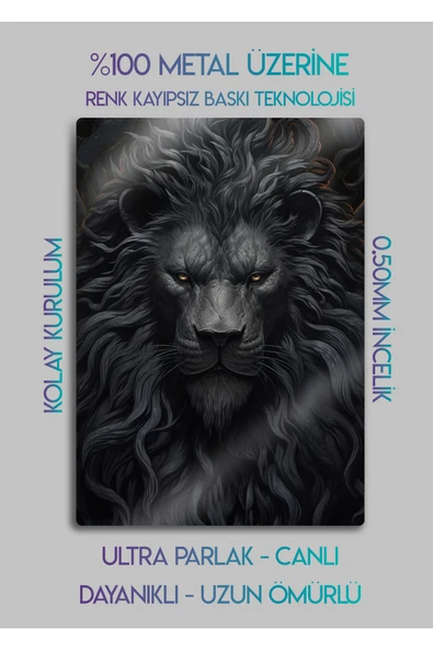 Siyah Aslan Lion - Metal Duvar Tablosu - Resim 2