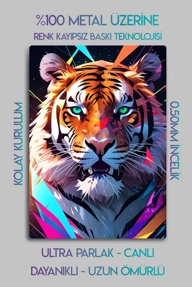 Metal Parlak Baskı - Tiger, Kaplan Dekoratif Tablo - 2