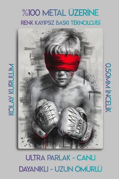 Metal Baskı - Dövüş Sanatları, Dekoratif Tablo - 2