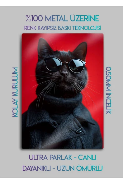 Stilist Gözlüklü Kedi, Cat - Metal Tablo - 2