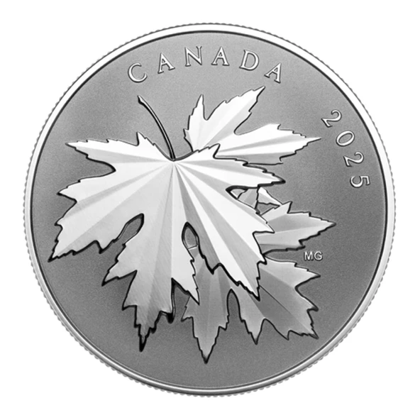 AgaKulche Maple Leaf Işıltılı Gümüş Sikke Coin