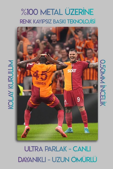 Metal Baskı Parlak Duvar Tablosu - - 2