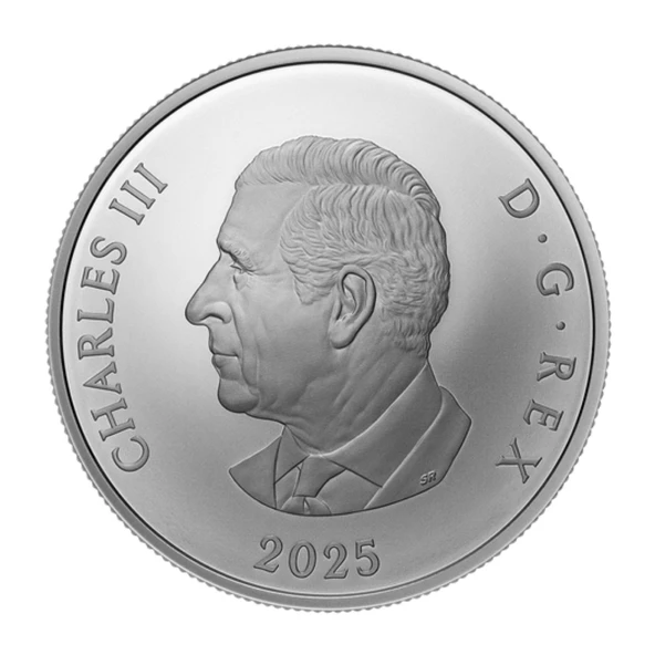 AgaKulche Maple Leaf Broş Gümüş Sikke Coin - 2